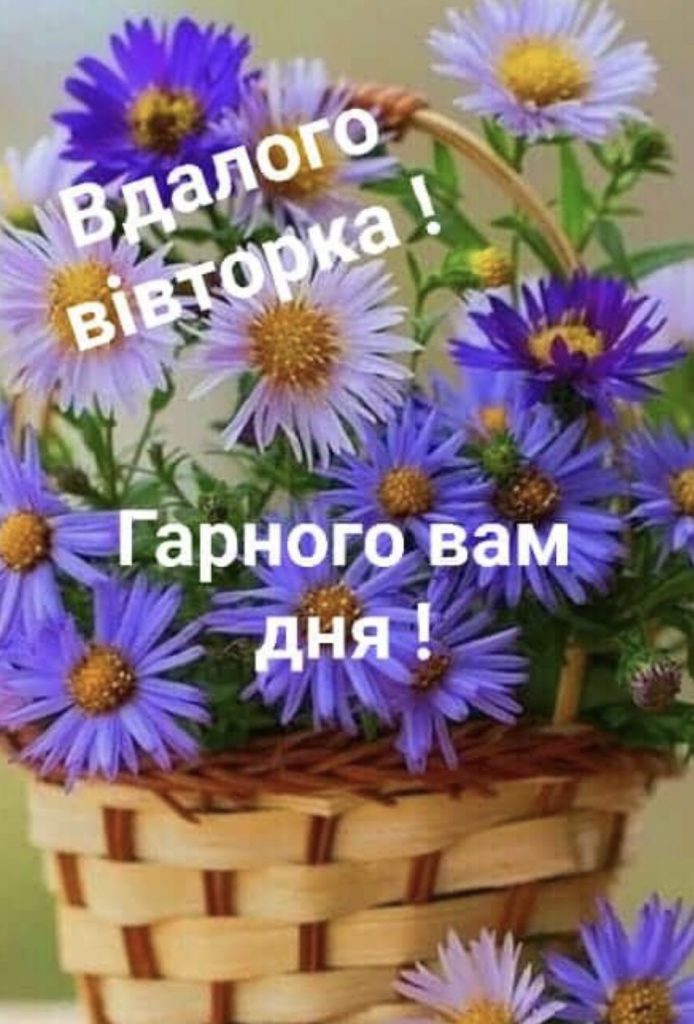 Гарного вівторка та вдалого тижня: привітання з картинками для мотивації