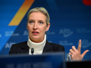 Чим відома Аліса Вайдель лідерка німецької партії AfD та за що її критикують?