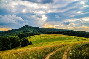Погода в Україні 15 серпня: без опадів, +20…+28°, на Закарпатті до +33°. Укргідрометцентр прогнозує слабкий вітер. Дізнайтеся прогноз по регіонах.