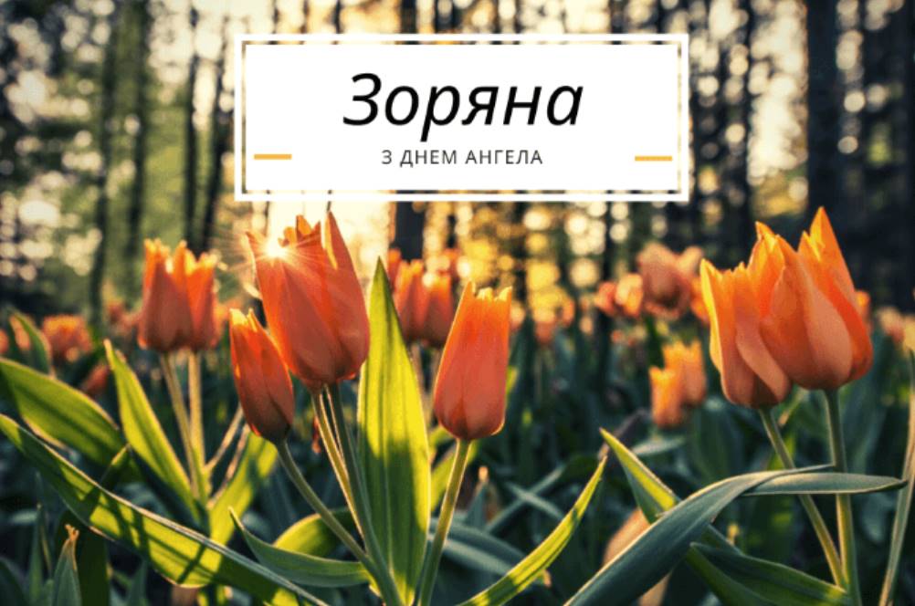 День ангела Зоряни 2025: коли святкують, які традиції та історія свята, листівки та вірші для привітання Зоряни