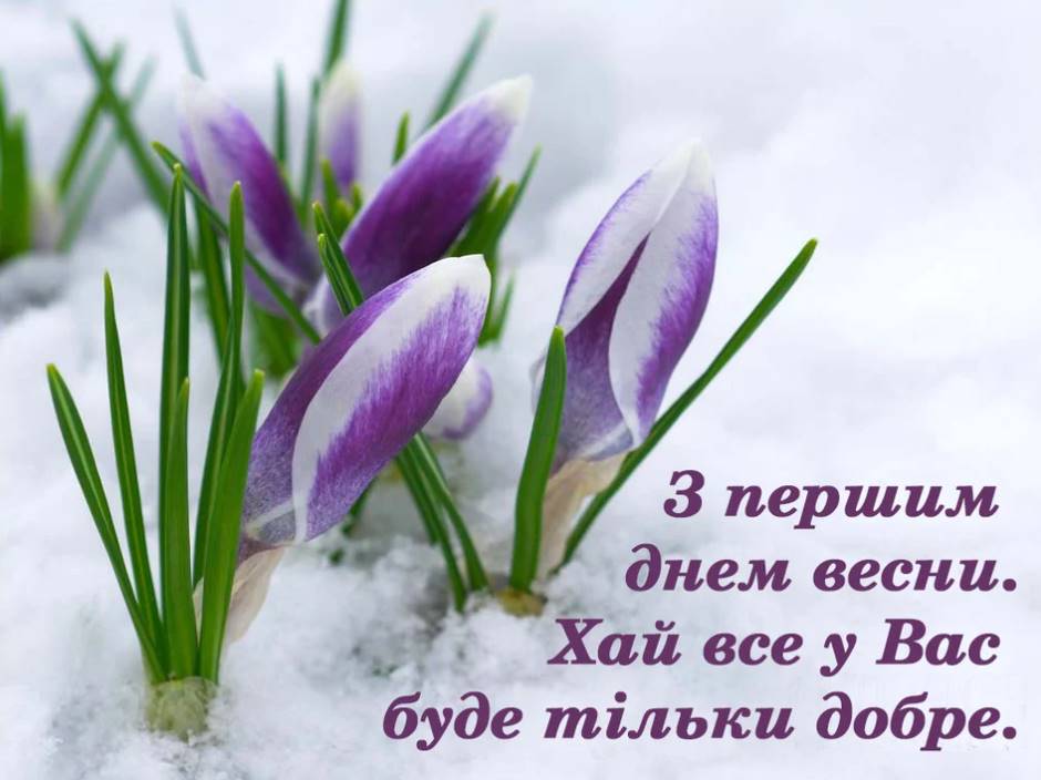 Привітання з 1 днем весни: картинки, вірші та проза до 1 березня