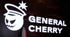 Дізнайтеся, що відомо про атаку рф на об’єкт «Генерал Черешня», стан працівників, збитки та роботу виробництва дронів для Сил оборони. Читайте деталі у матеріалі тут