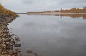 Річки на заході України обміліли до критичних значень. Де оголосили III коричневий рівень небезпеки та які області опинилися в зоні маловоддя.