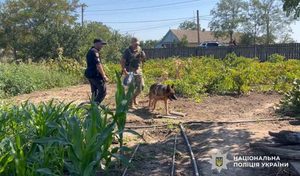 На Одещині знайшли мертвою 15-річну дівчину, яку розшукувала поліція. Затримано 19-річного односельця, якого перевіряють на причетність.